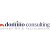 Logo DOMINO CONSULTING ANGERS