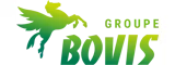 BOVIS