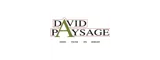 DAVID PAYSAGE