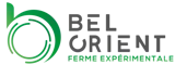 Bel Orient