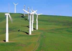 Stage environnement : nos conseils pour votre stage en environnement